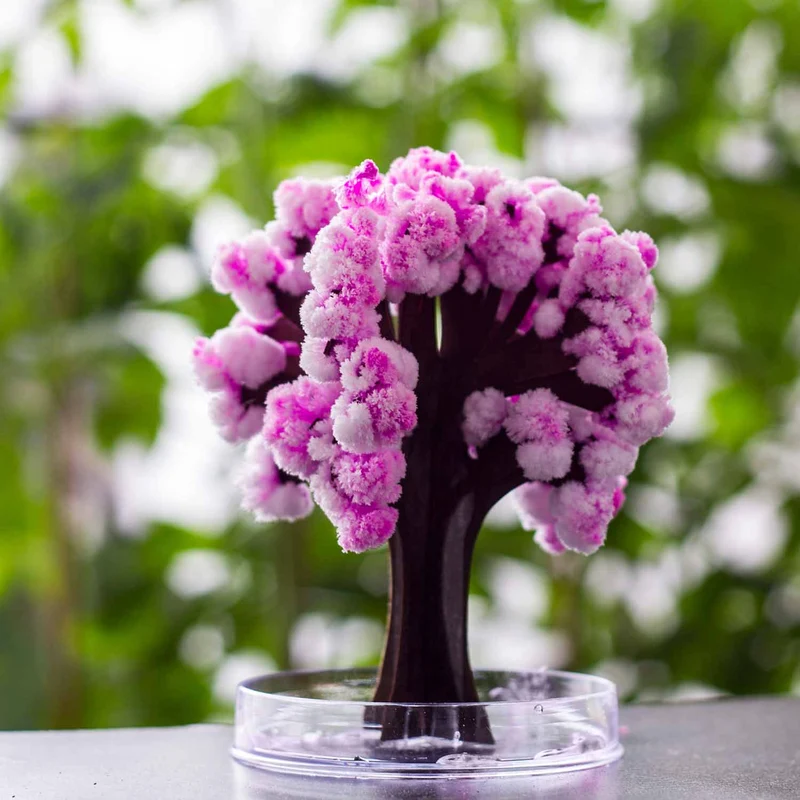 Magic Sakura - Magisch Wachsender Kirschbaum