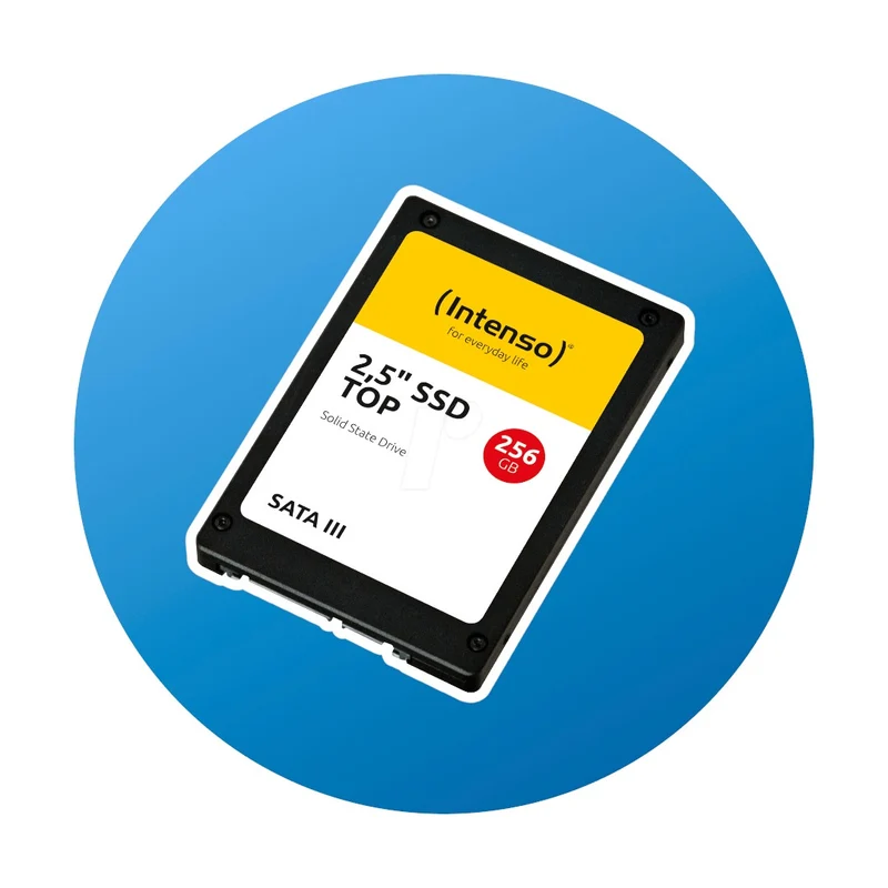 256GB Intenso 2,5" SSD